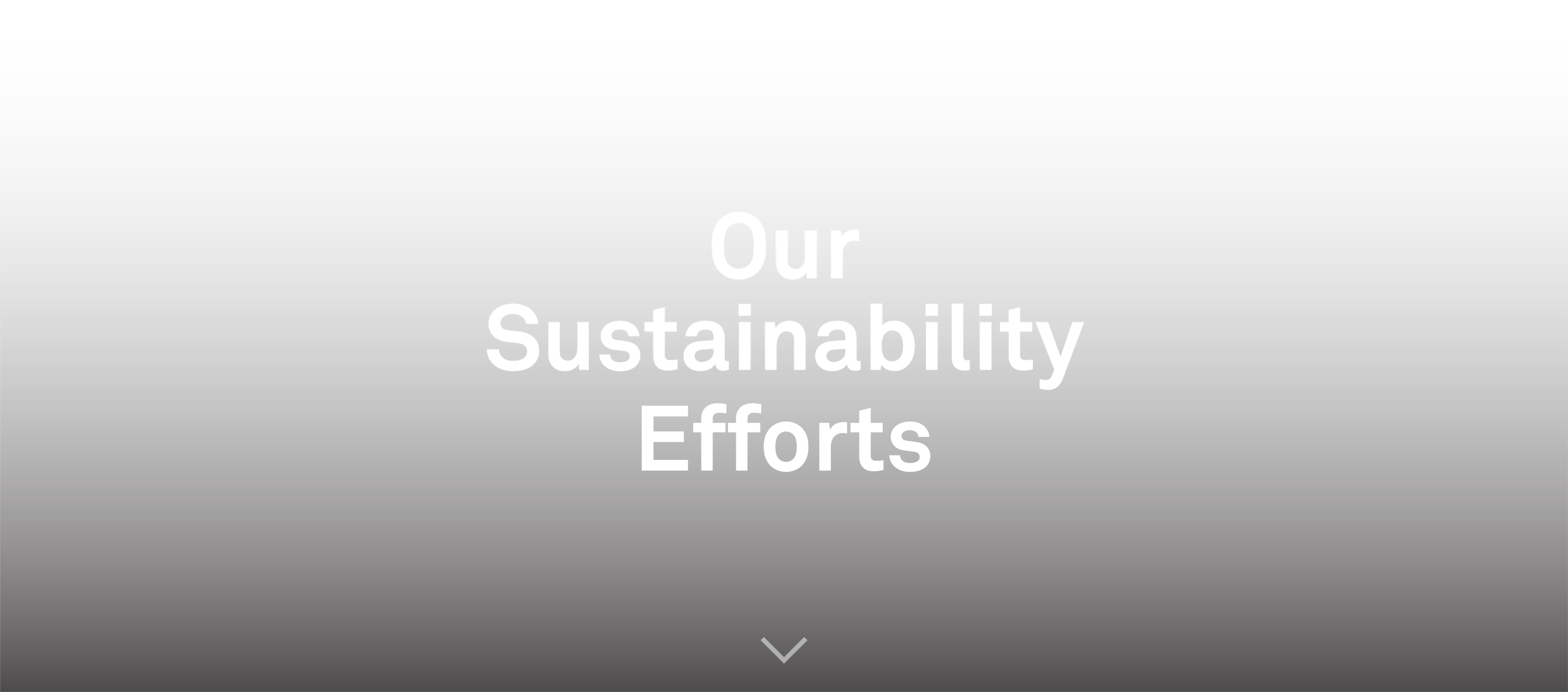 our_sustainability_effort_title