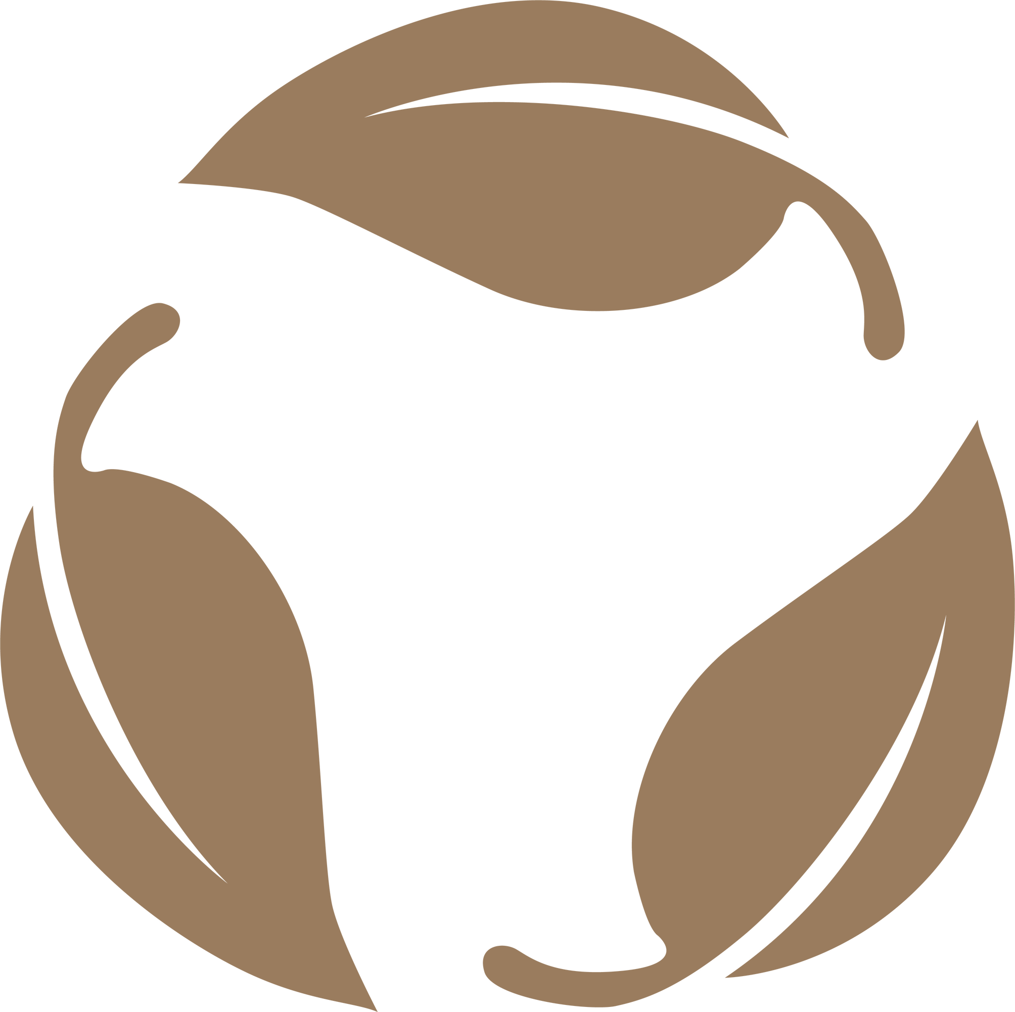 renew-icon