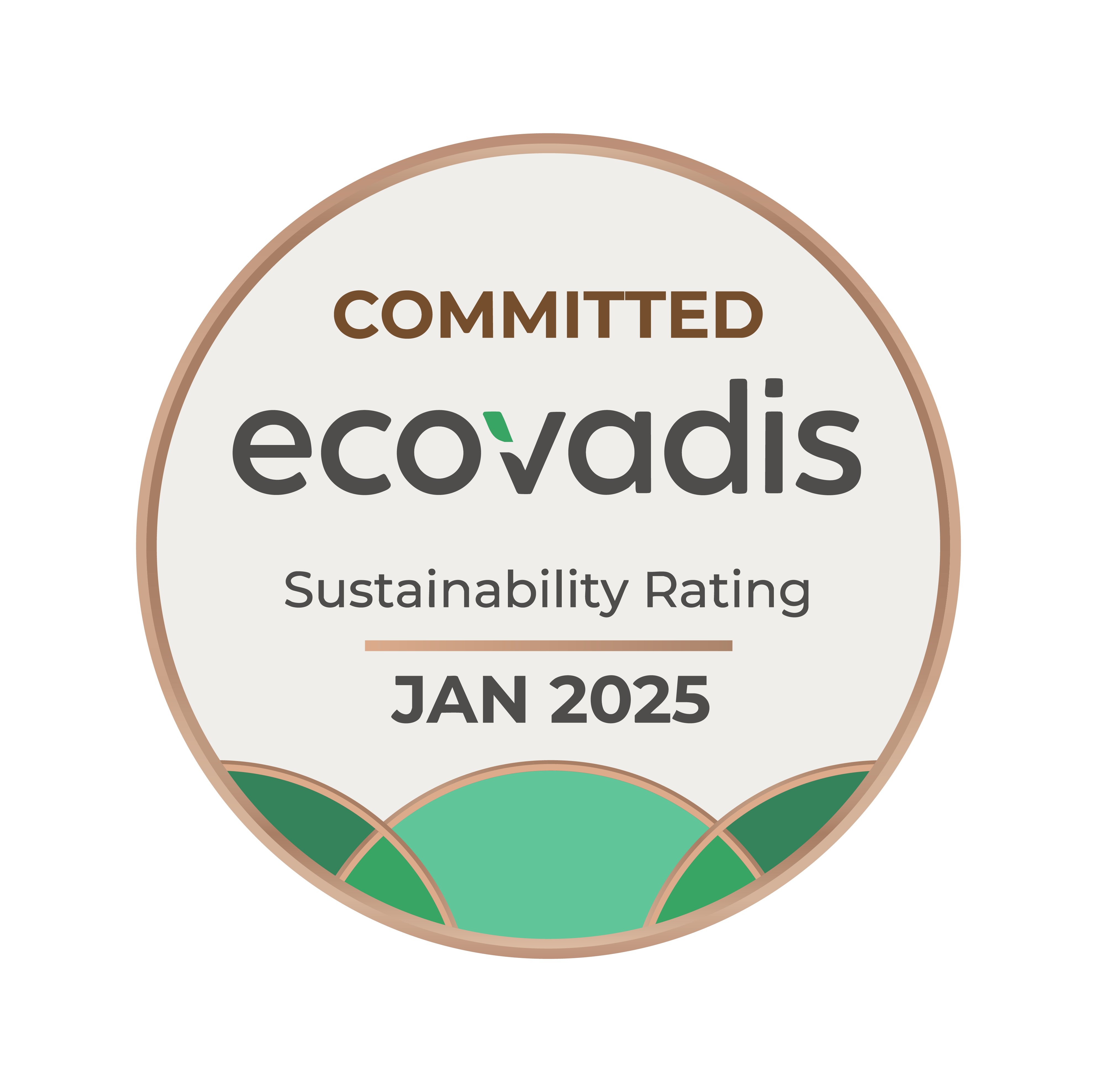 Ecovadis logo 2025
